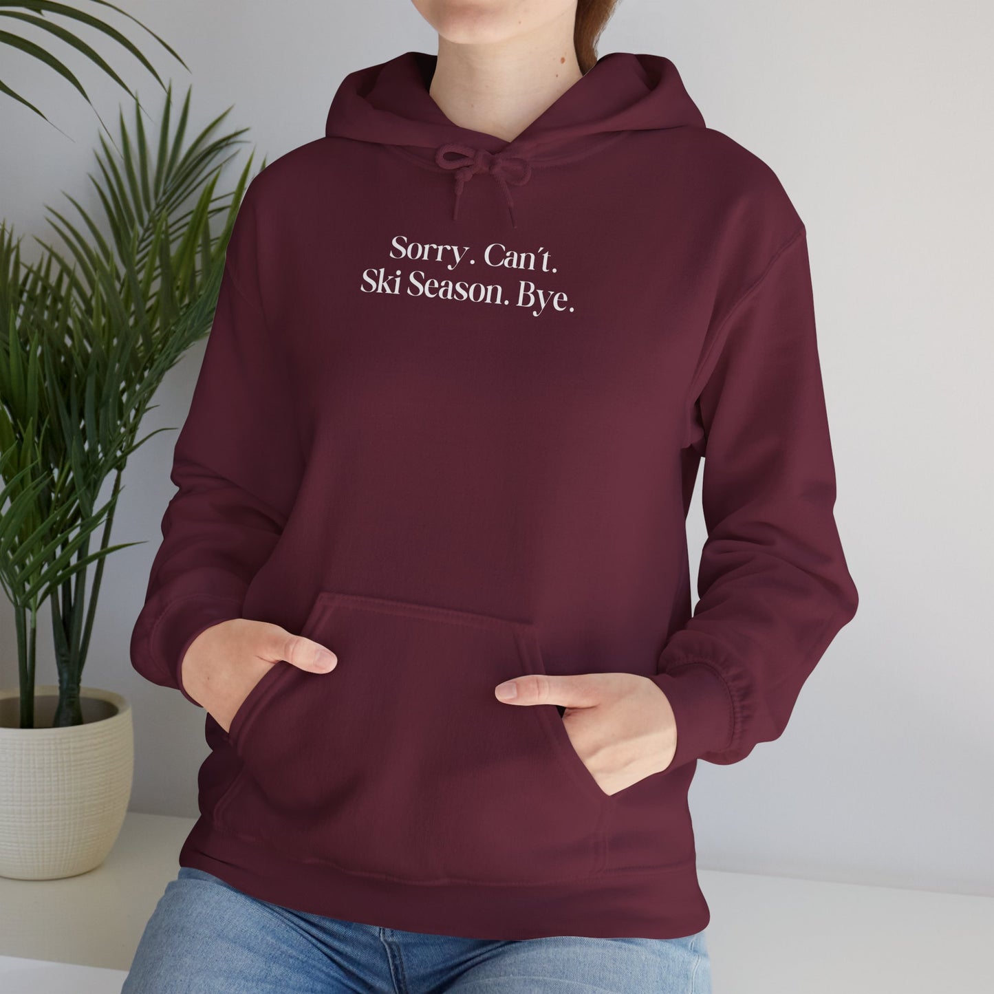 Sorry Can't Hoodie