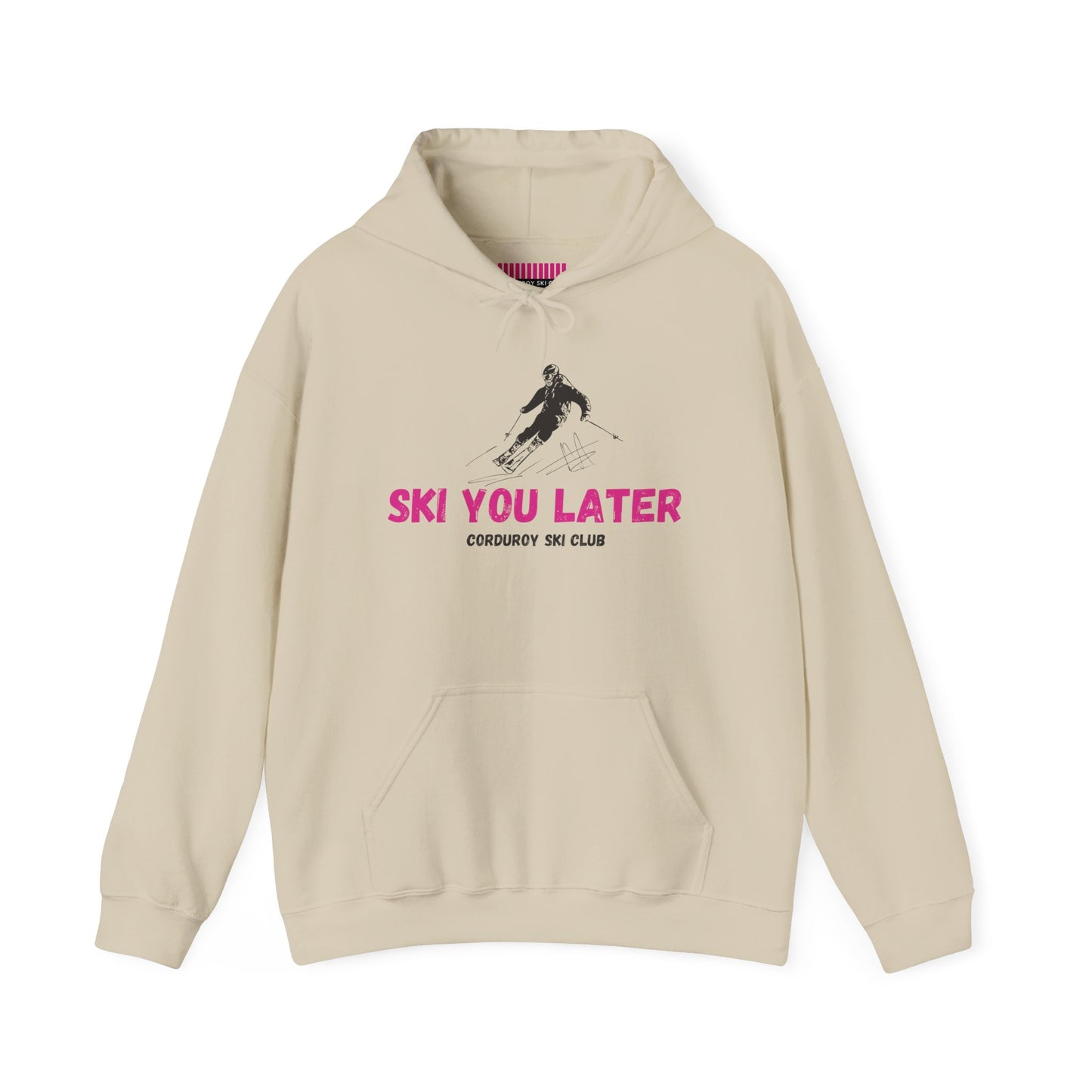 Ski You Later Hoodie Sweatshirt