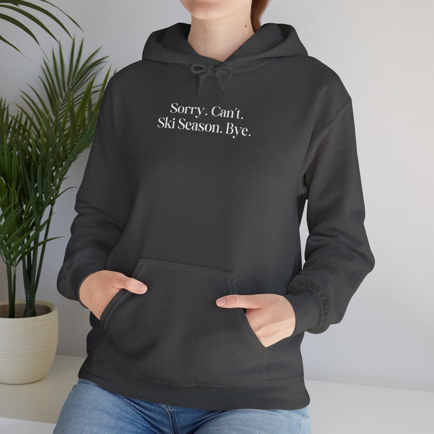 Sorry Can't Hoodie