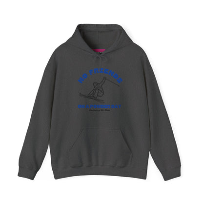 No Friends on a Powder Day CSC Hoodie Sweatshirt