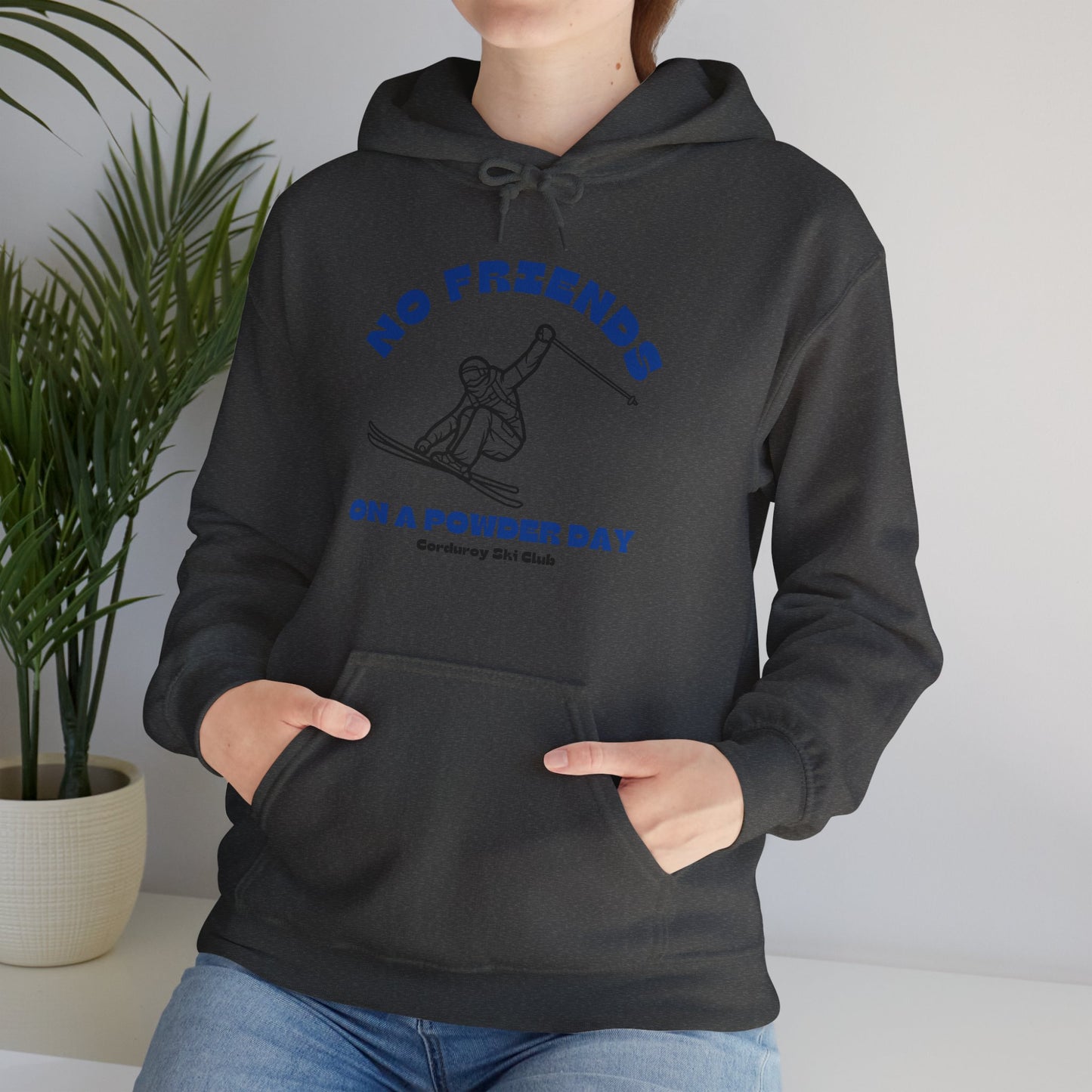 No Friends on a Powder Day CSC Hoodie Sweatshirt