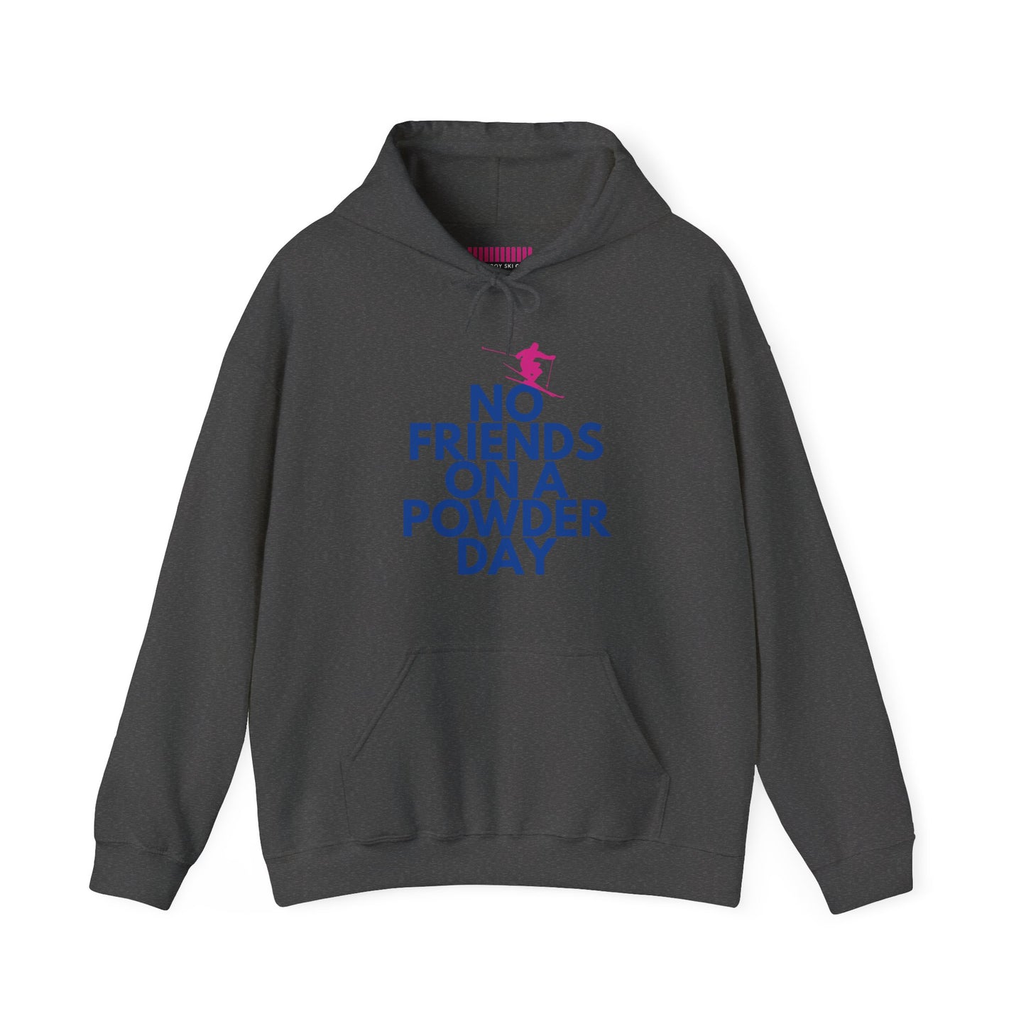No Friends on a Powder Day Skier  Hoodie Sweatshirt